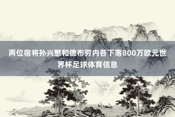 两位宿将孙兴慜和德布劳内各下落800万欧元世界杯足球体育信息
