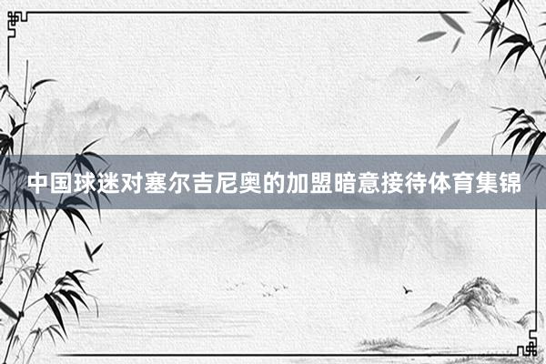 中国球迷对塞尔吉尼奥的加盟暗意接待体育集锦