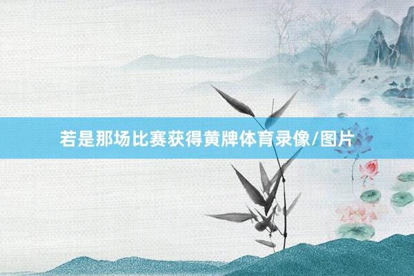若是那场比赛获得黄牌体育录像/图片