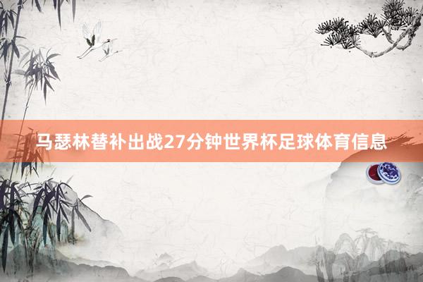 马瑟林替补出战27分钟世界杯足球体育信息