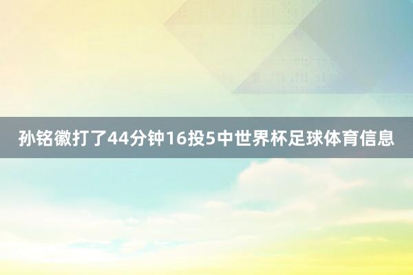 孙铭徽打了44分钟16投5中世界杯足球体育信息