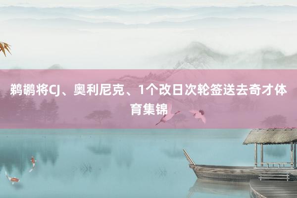 鹈鹕将CJ、奥利尼克、1个改日次轮签送去奇才体育集锦