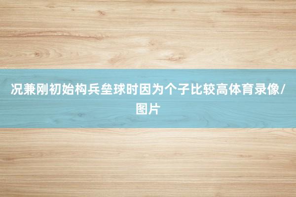 况兼刚初始构兵垒球时因为个子比较高体育录像/图片
