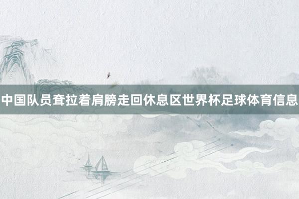 中国队员耷拉着肩膀走回休息区世界杯足球体育信息