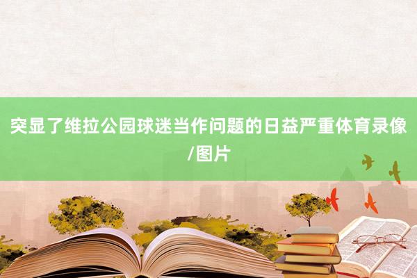 突显了维拉公园球迷当作问题的日益严重体育录像/图片