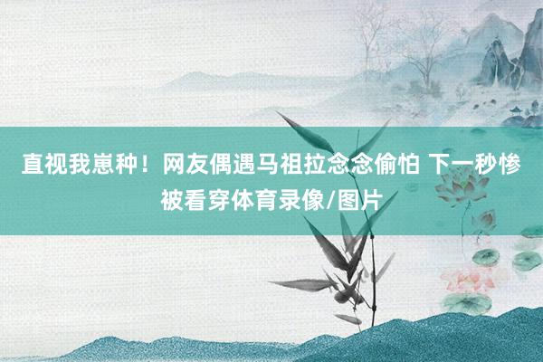 直视我崽种！网友偶遇马祖拉念念偷怕 下一秒惨被看穿体育录像/图片