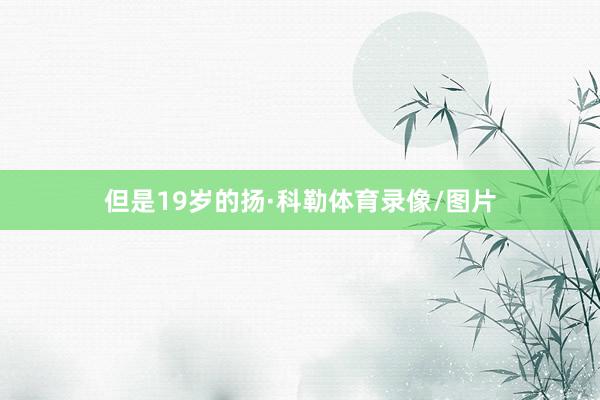 但是19岁的扬·科勒体育录像/图片