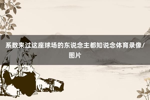 系数来过这座球场的东说念主都知说念体育录像/图片