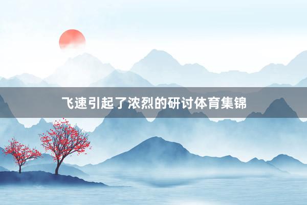 飞速引起了浓烈的研讨体育集锦