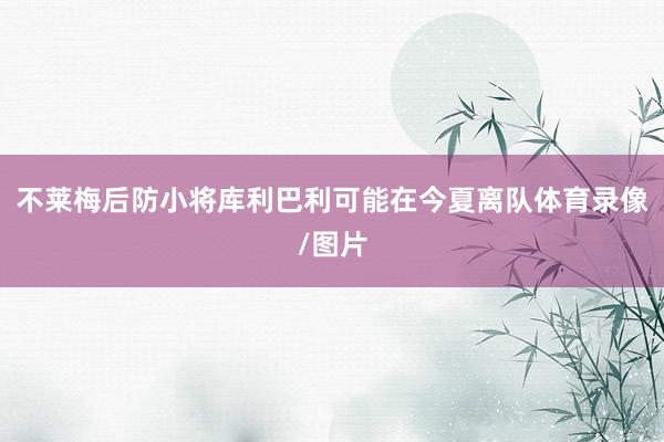 不莱梅后防小将库利巴利可能在今夏离队体育录像/图片