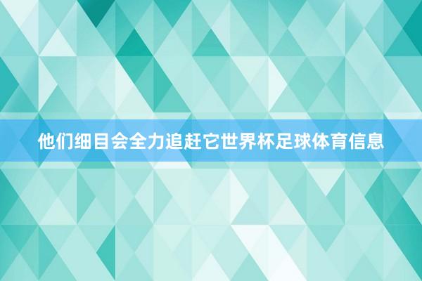 他们细目会全力追赶它世界杯足球体育信息