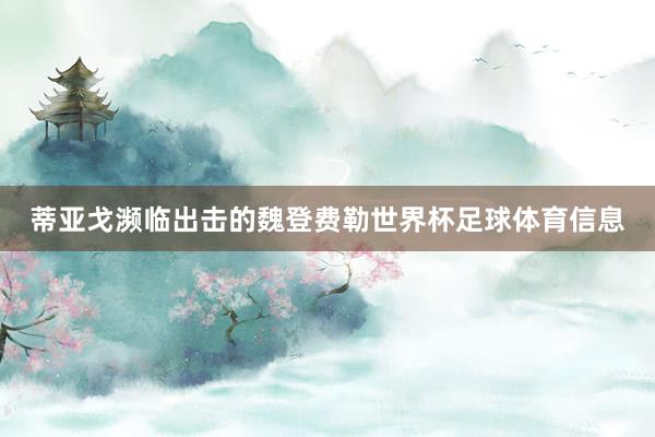 蒂亚戈濒临出击的魏登费勒世界杯足球体育信息