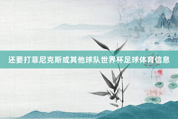 还要打菲尼克斯或其他球队世界杯足球体育信息