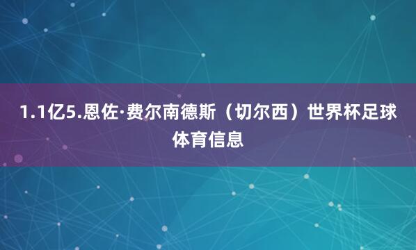 1.1亿5.恩佐·费尔南德斯（切尔西）世界杯足球体育信息