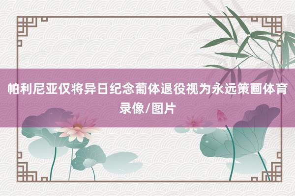 帕利尼亚仅将异日纪念葡体退役视为永远策画体育录像/图片