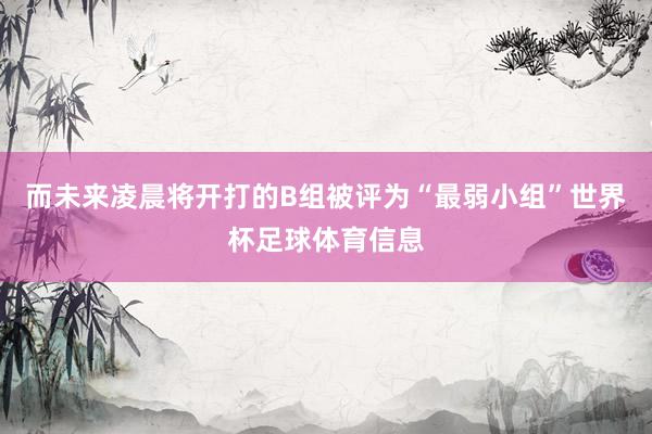 而未来凌晨将开打的B组被评为“最弱小组”世界杯足球体育信息
