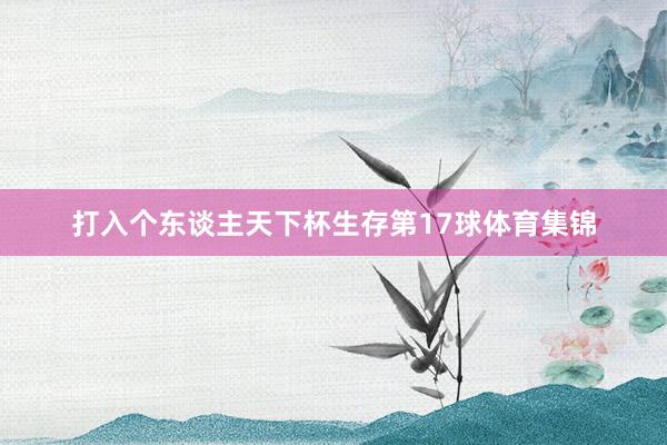 打入个东谈主天下杯生存第17球体育集锦